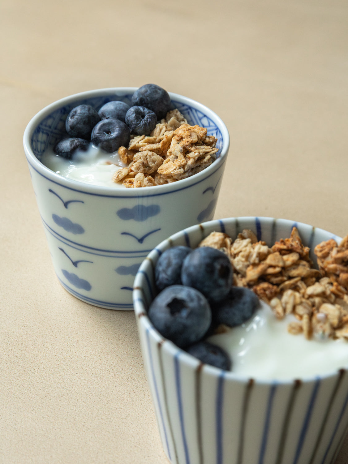 Sometsuke Choko Cup - Hawk in Clouds