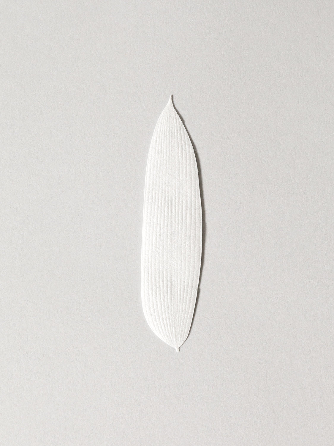 HA KO Paper Incense - Peppermint