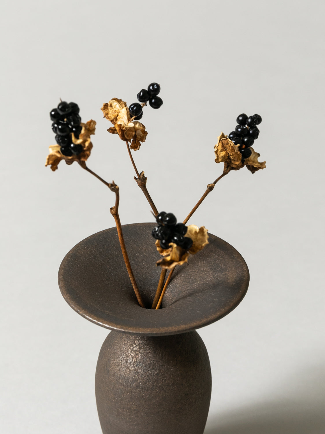 Vase and Dried Flower - Bronze × Blackberry Lily