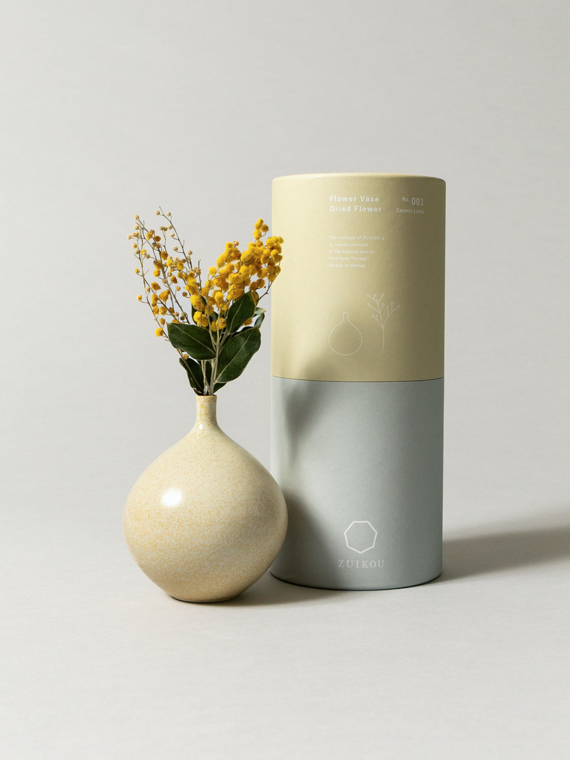 Vase and Dried Flower - Cosmic Latte × Mimosa