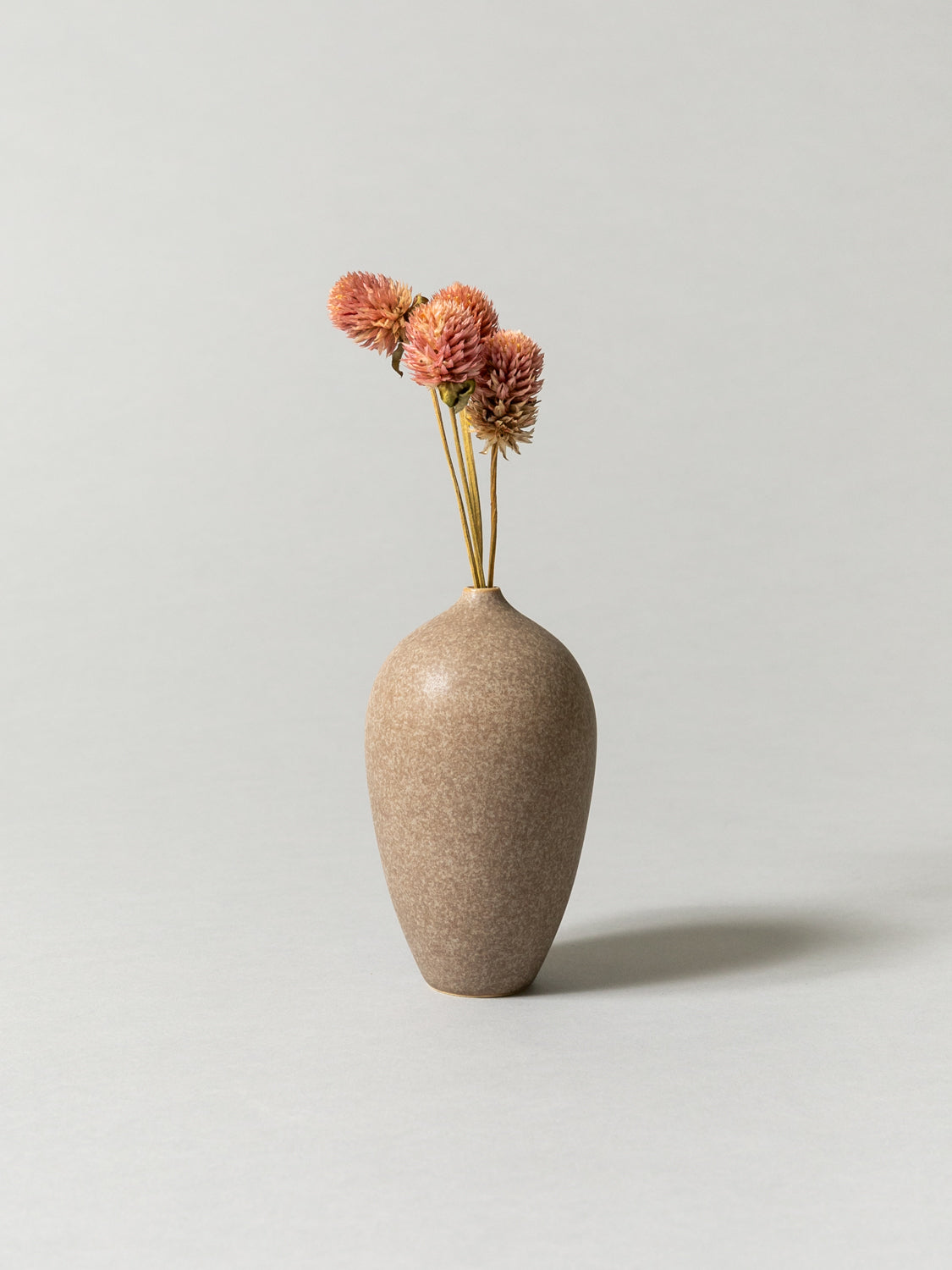 Vase and Dried Flower -  Stardust Gray × Globe Amaranth
