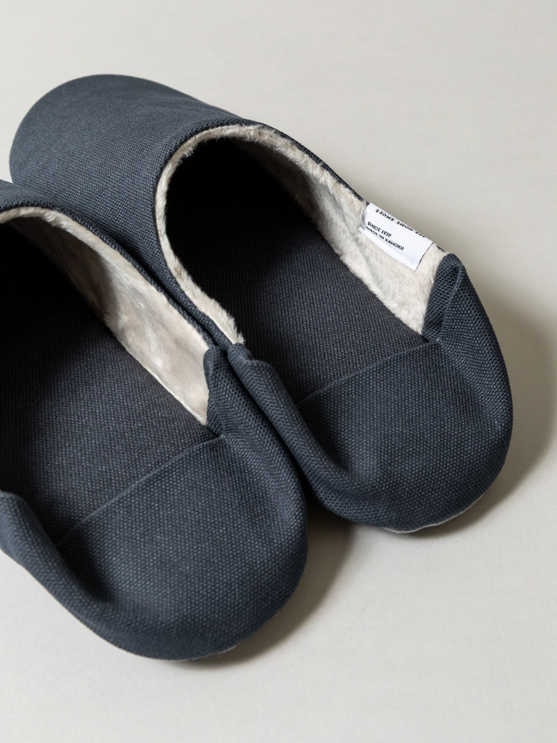 ABE Canvas Home Shoes - Lined