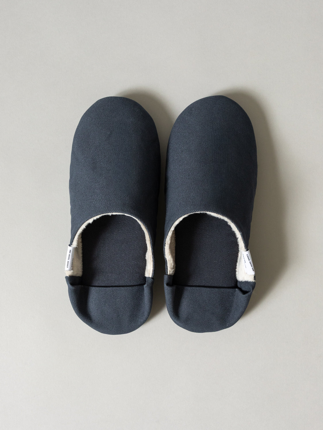 ABE Canvas Home Shoes - Lined