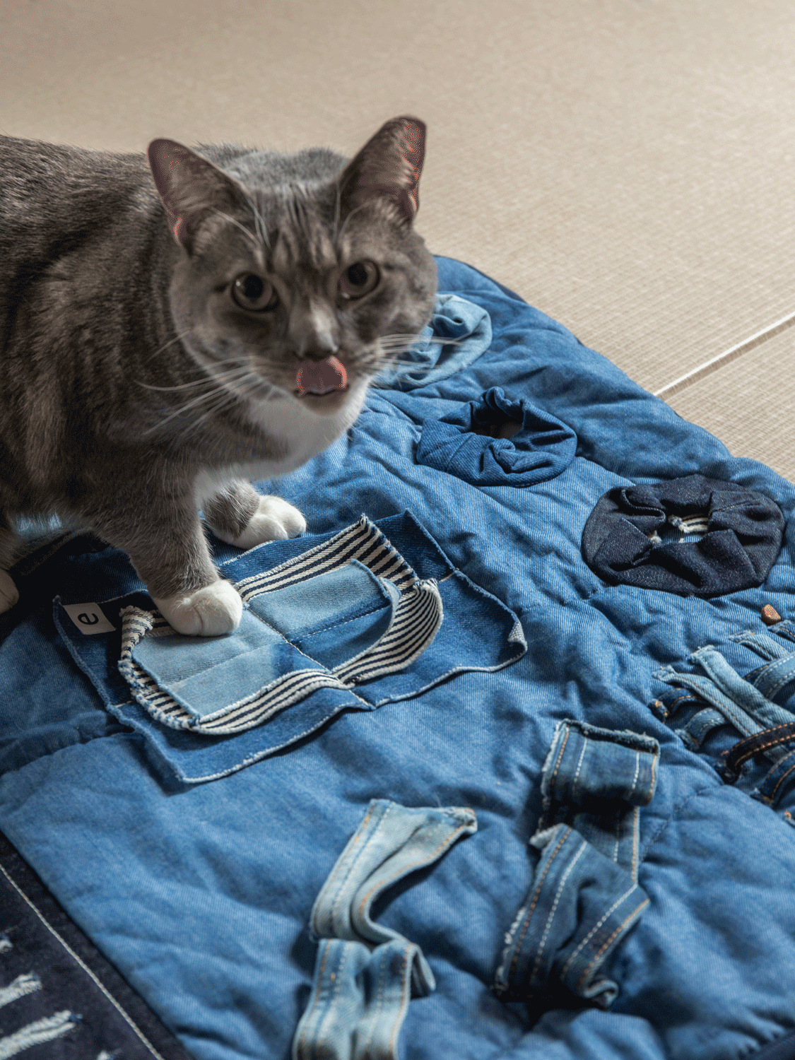 Denim Pet Play Mat