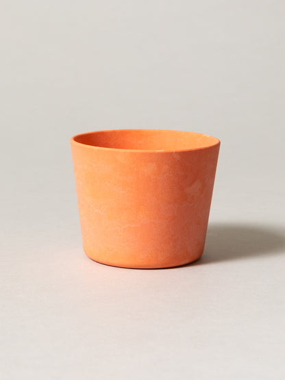Nogakel Cup