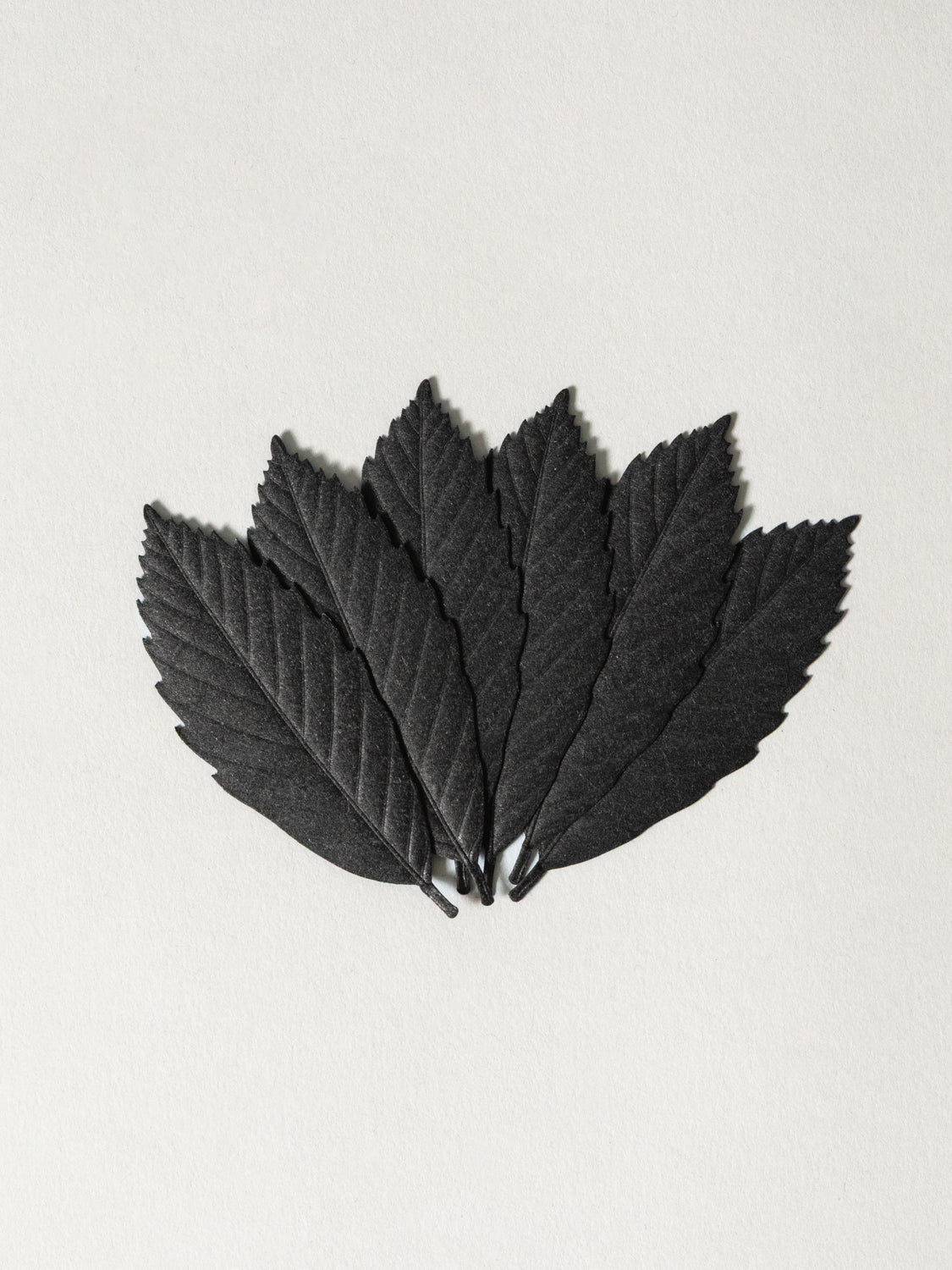 HA KO 紙お香 - ブラック 6個セット