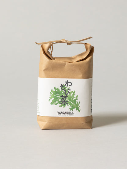 Cultivate & Eat Planting Set - Wasabina Mustard Greens