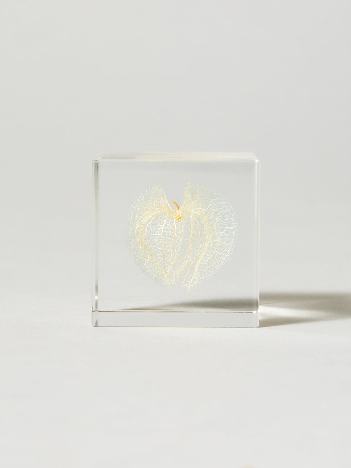 Sola Cube - Apple of Peru