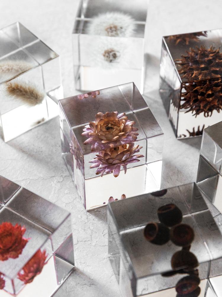 Sola Cube - Statice (Sutāchisu) - Rikumo