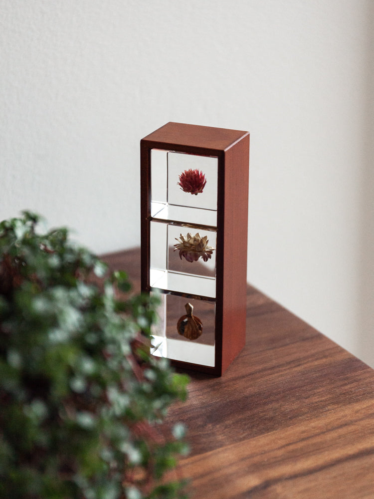 Walnut Display Box for 3 Sola Cubes