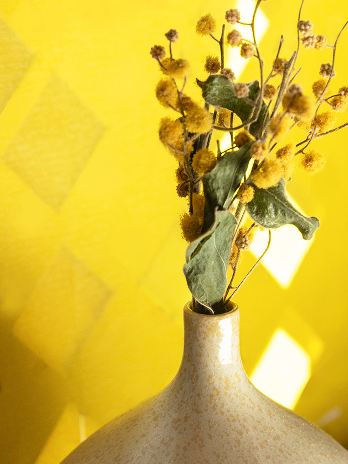 Vase and Dried Flower - Cosmic Latte × Mimosa