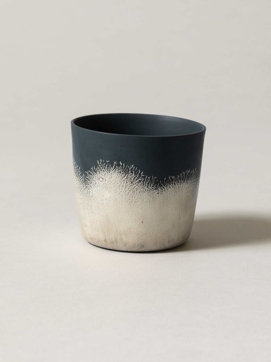 Shinkan Cup