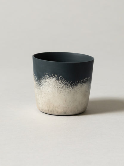 Shinkan Cup
