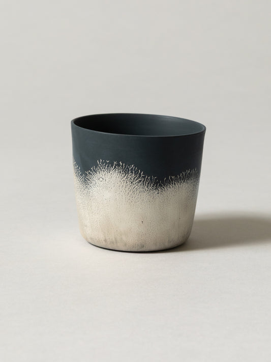Shinkan Cup