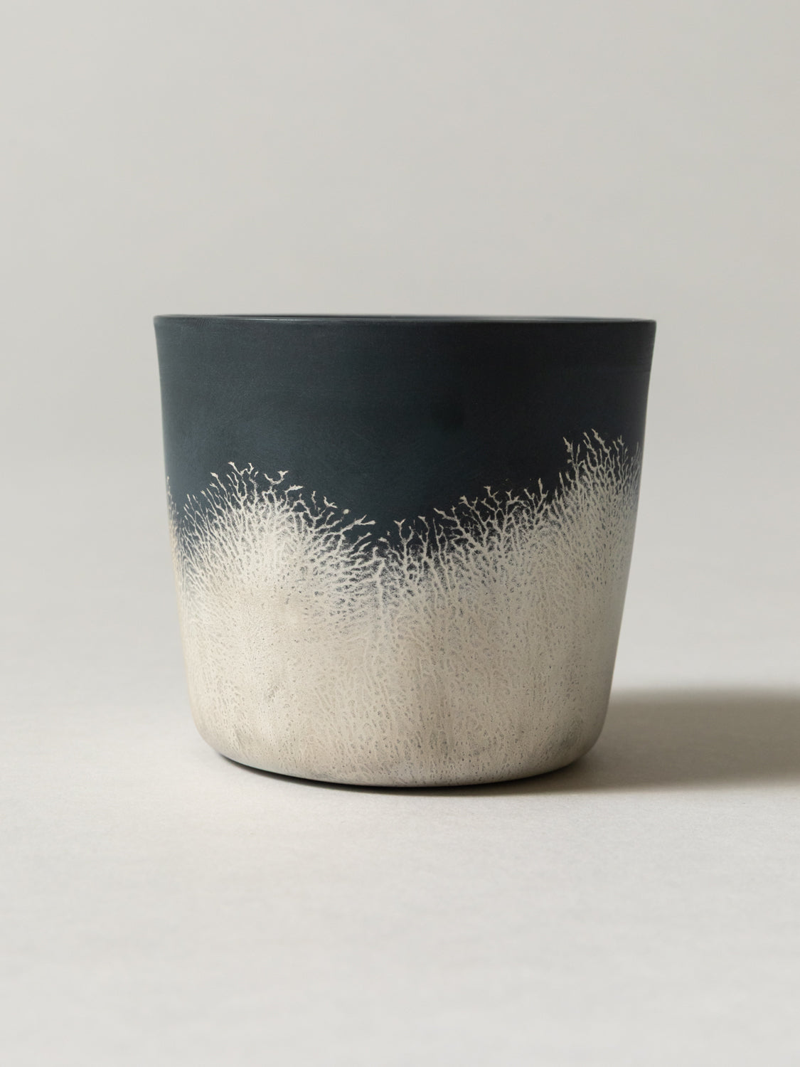 Shinkan Cup
