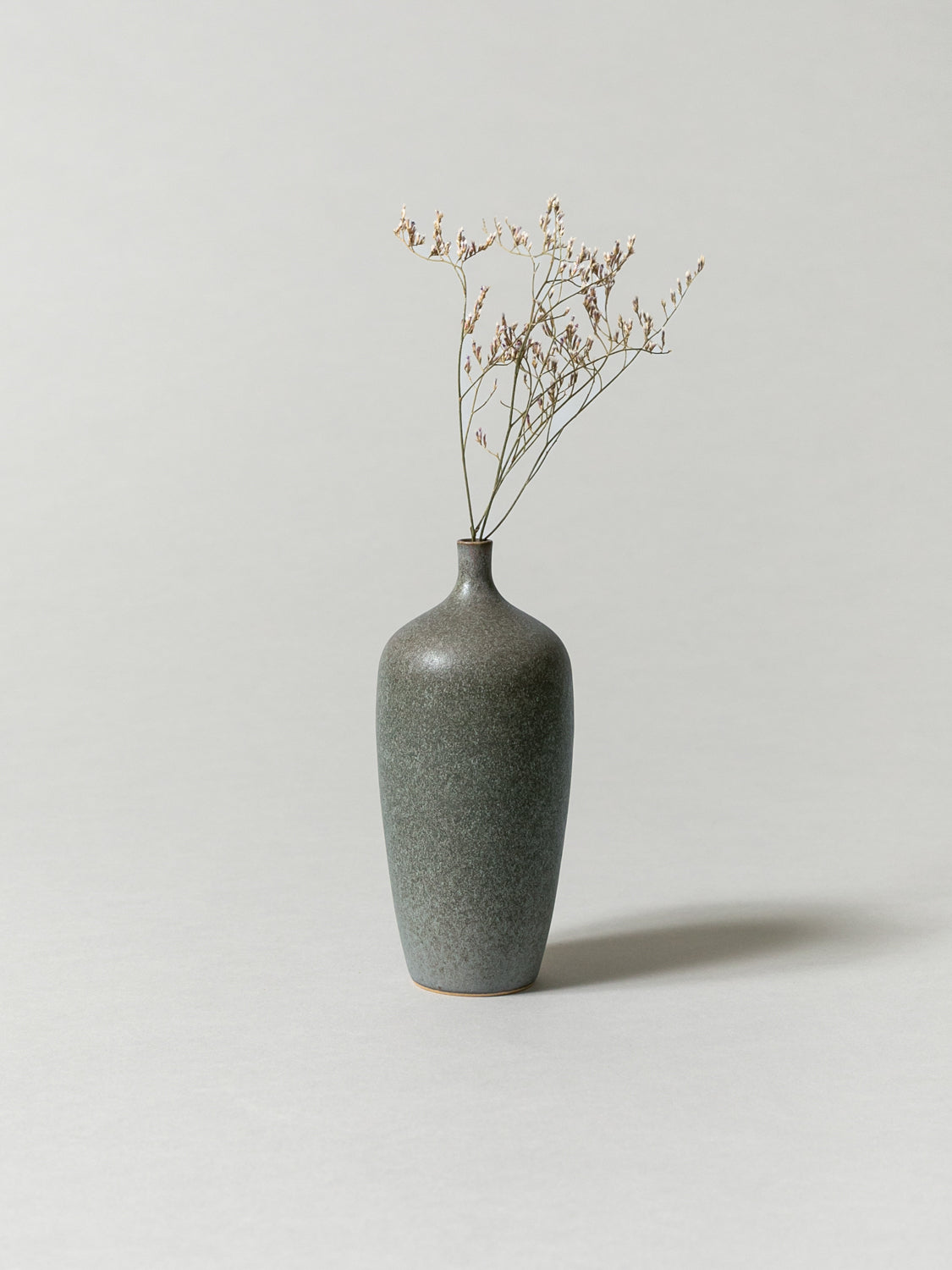 Vase and Dried Flower - Almond Green × Statice