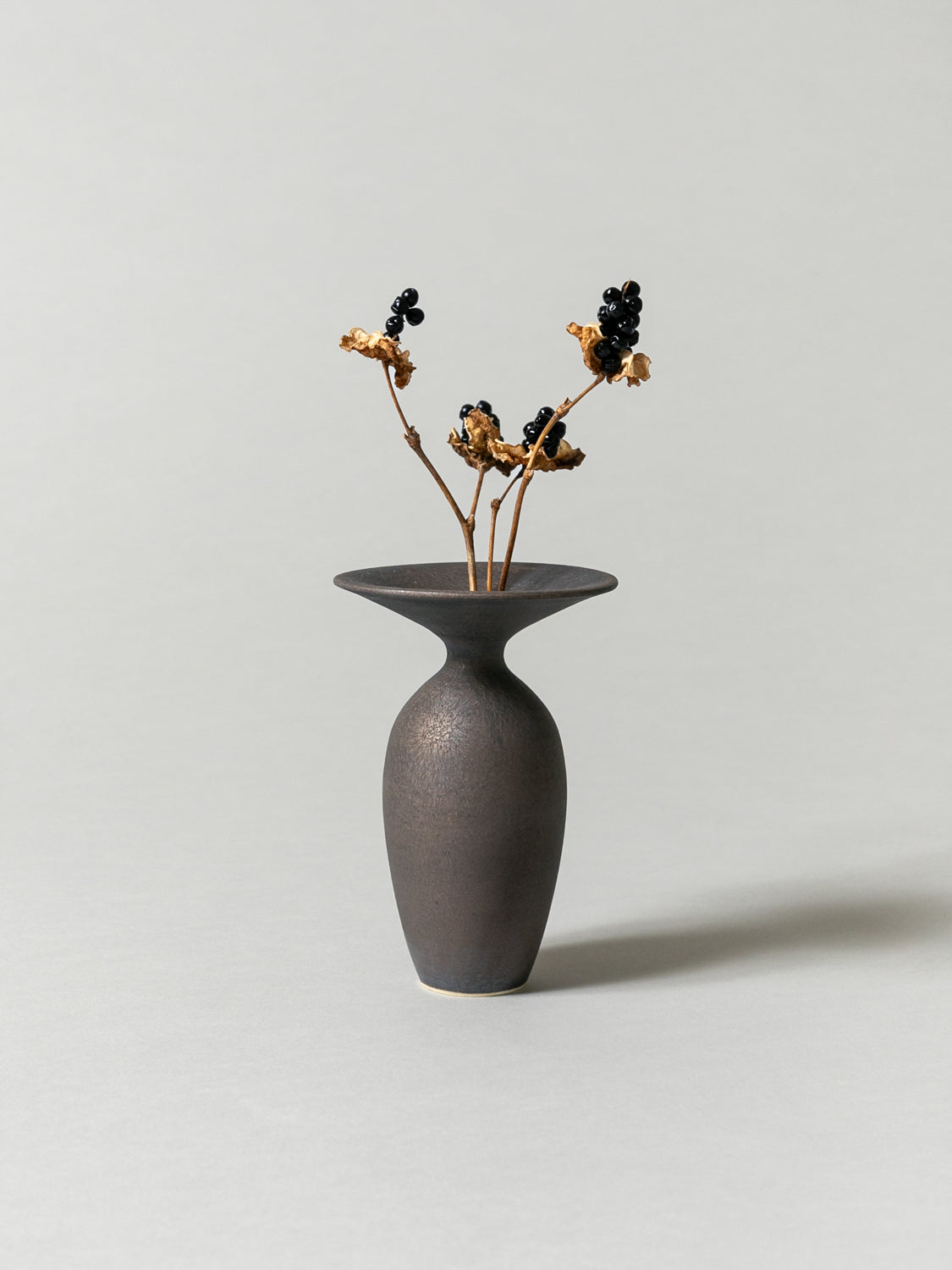 Vase and Dried Flower - Bronze × Blackberry Lily