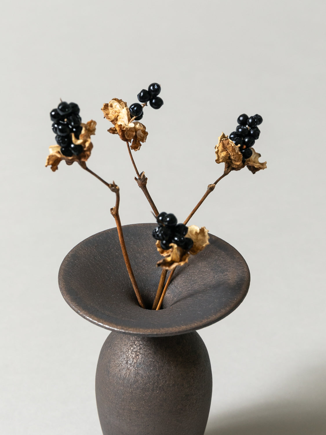 Vase and Dried Flower - Bronze × Blackberry Lily