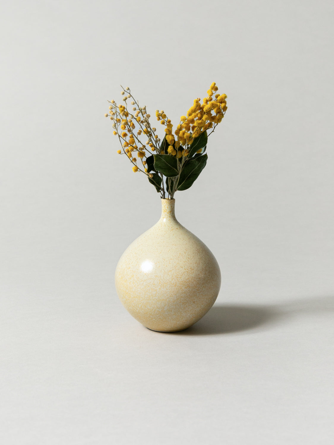 Vase and Dried Flower - Cosmic Latte × Mimosa