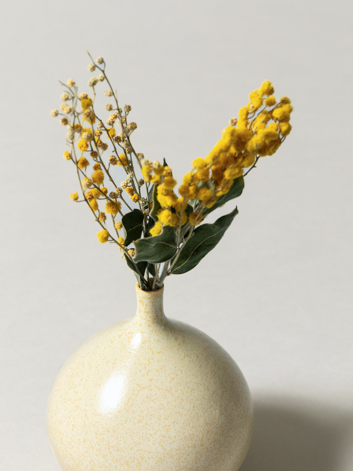 Vase and Dried Flower - Cosmic Latte × Mimosa