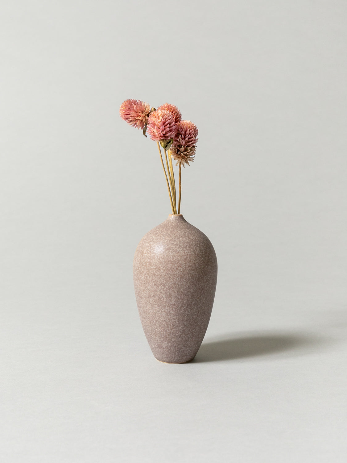 Vase and Dried Flower -  Stardust Gray × Globe Amaranth