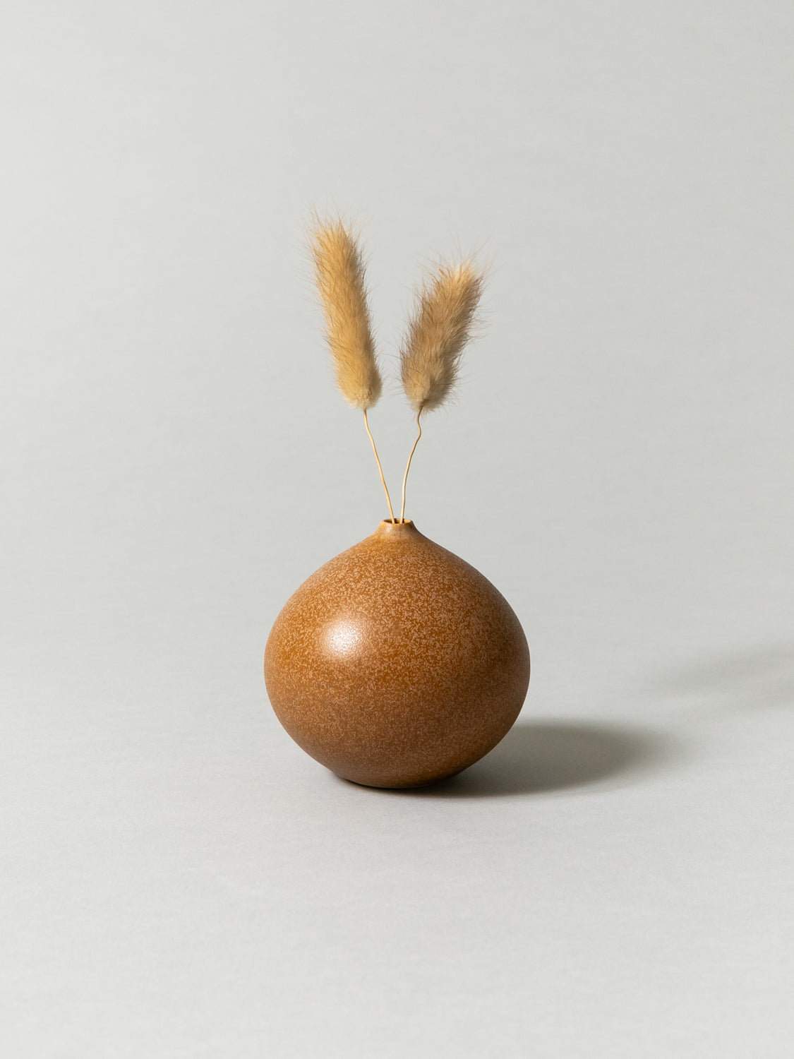 Vase and Dried Flower - Terracotta × Bunny Tail Grass