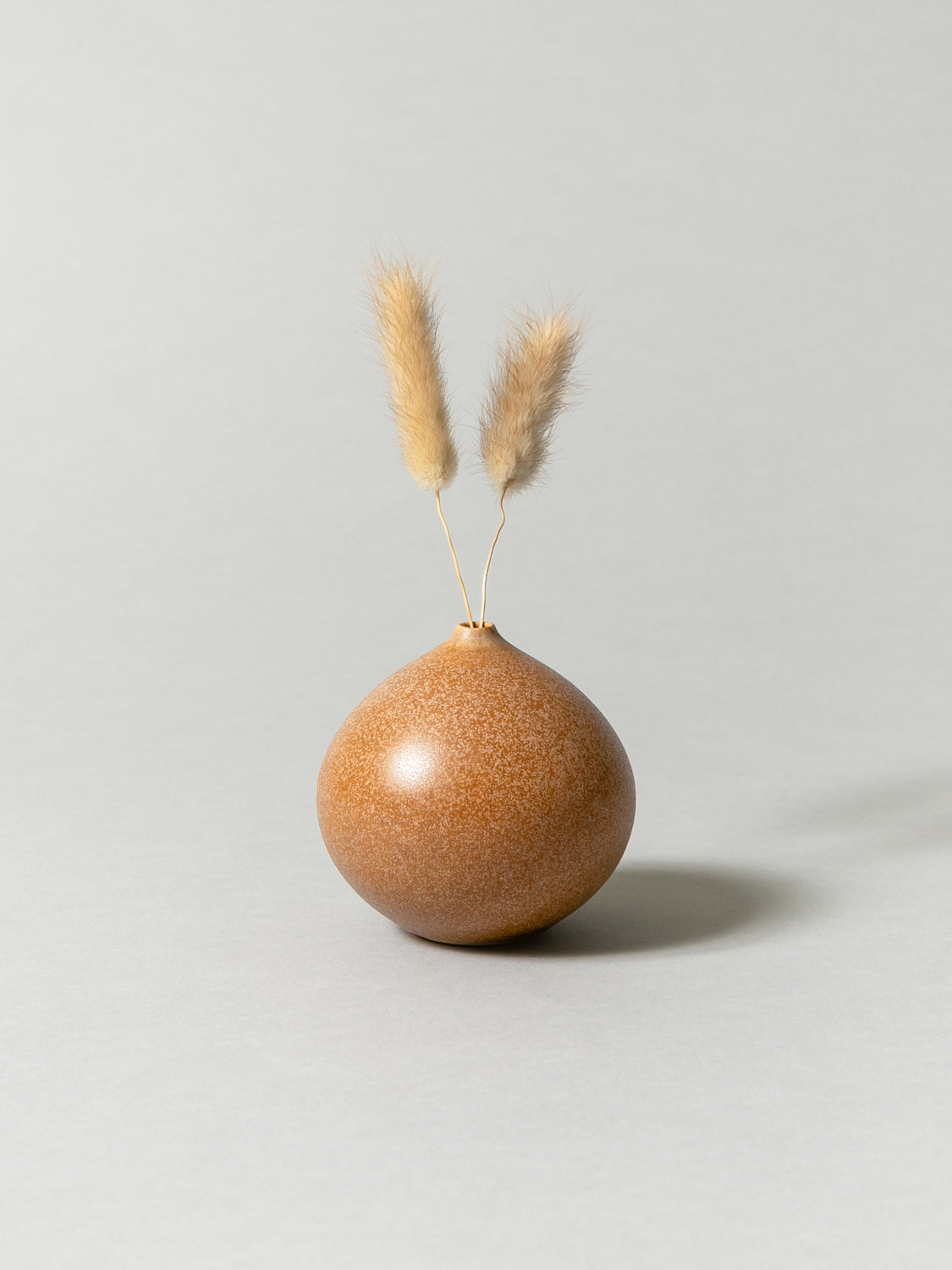 Vase and Dried Flower - Terracotta × Bunny Tail Grass