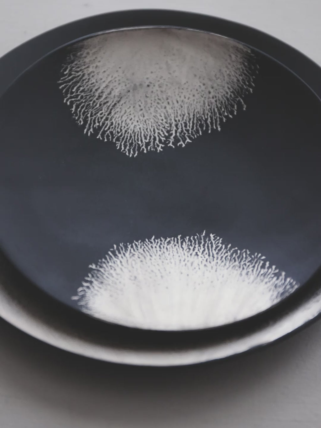Shinkan Plate