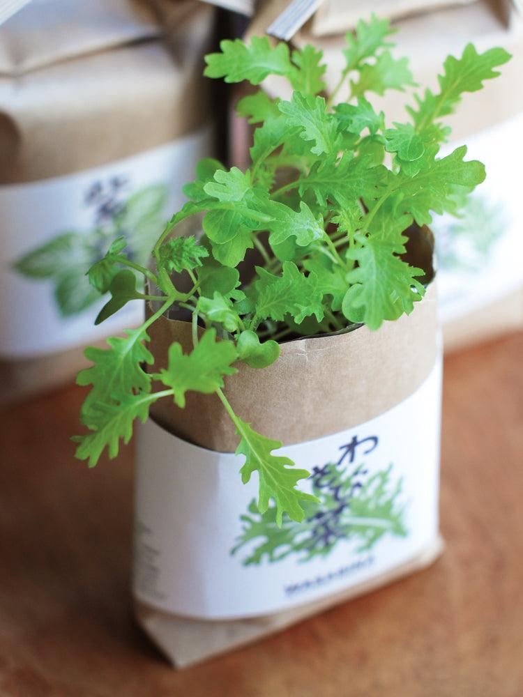 Cultivate & Eat Planting Set - Wasabina Mustard Greens - rikumo japan made