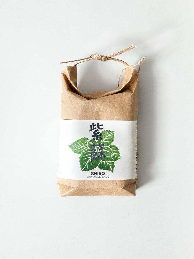 Cultivate & Eat Planting Set - Shiso Japanese Basil