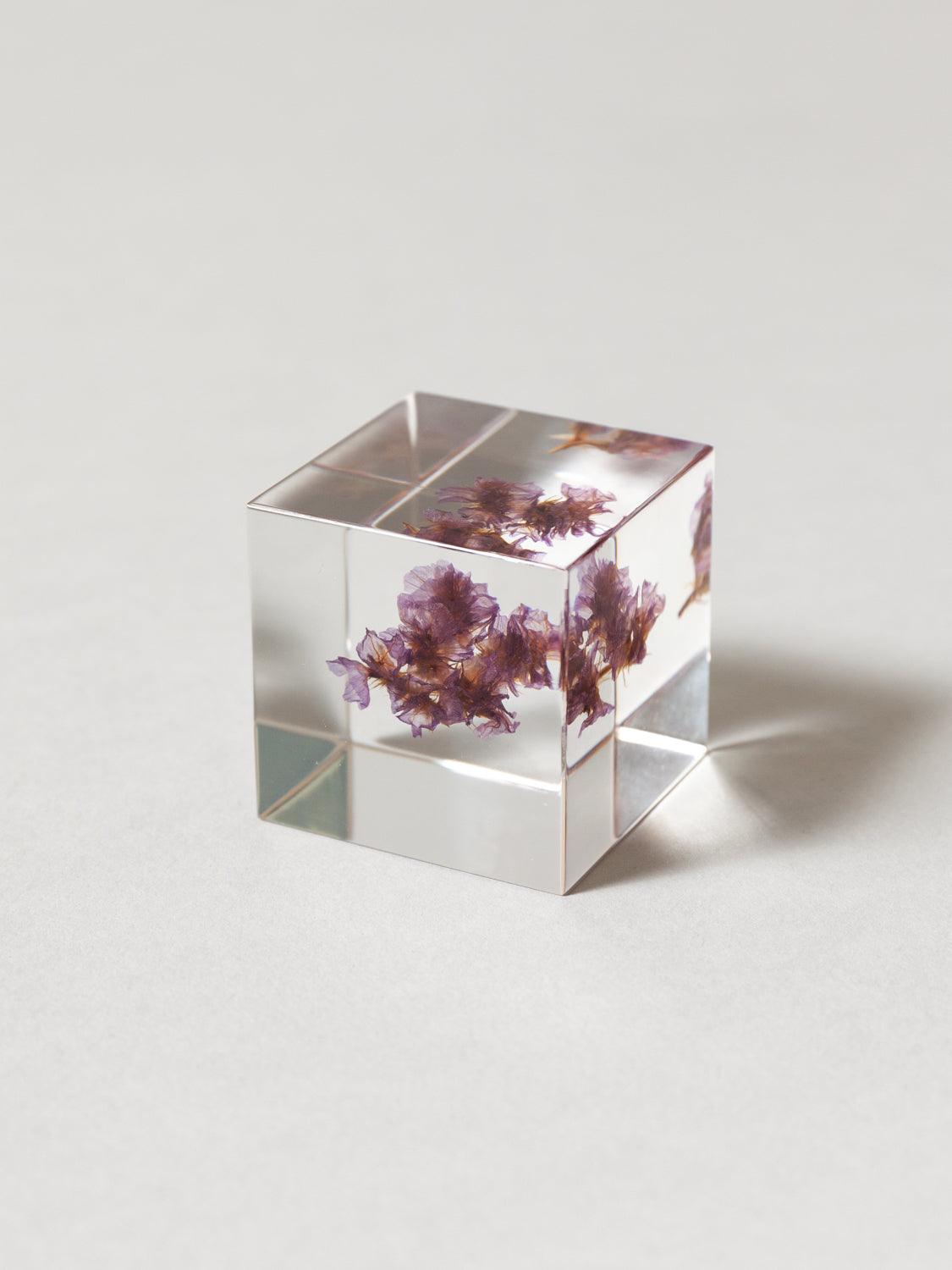 Sola Cube - Statice